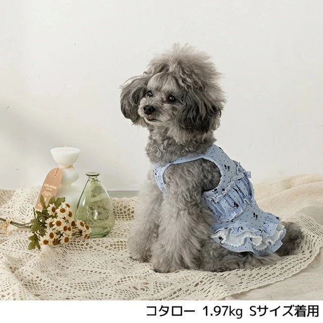 アントゥトゥ Un TouTou リボン柄キャミワンピ【小型犬 犬用 犬服 ワンピース スカート ドレス セレブ】