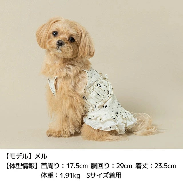 アントゥトゥ Un TouTou リボン柄キャミワンピ【小型犬 犬用 犬服 ワンピース スカート ドレス セレブ】
