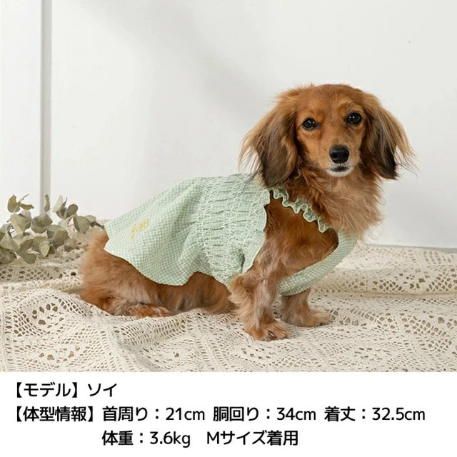 アントゥトゥ Un TouTou ギンガムチェック柄ワンピ【小型犬 犬用 犬服 ワンピース スカート ドレス セレブ】
