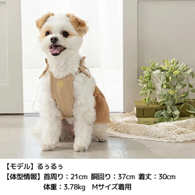アントゥトゥ Un TouTou ドットシフォンワンピ【小型犬 犬用 犬服 ワンピース スカート ドレス セレブ】
