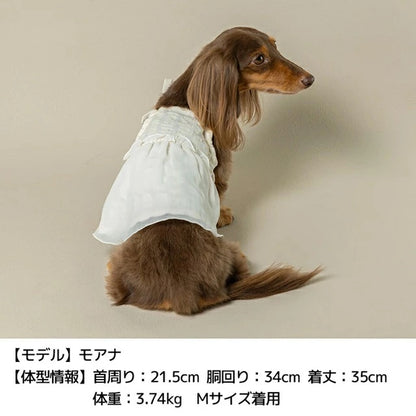 アントゥトゥ Un TouTou ドットシフォンワンピ【小型犬 犬用 犬服 ワンピース スカート ドレス セレブ】
