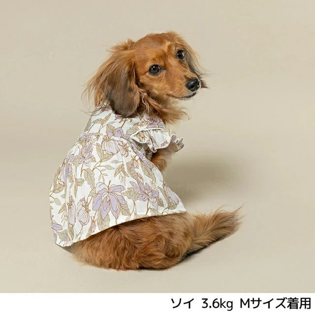 アントゥトゥ Un TouTou 肩フリル切り替えワンピ【小型犬 犬用 犬服 ワンピース スカート ドレス セレブ】