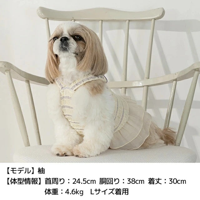 アントゥトゥ Un TouTou シフォンフリルワンピ【小型犬 犬用 犬服 ワンピース スカート ドレス セレブ】