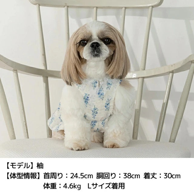 アントゥトゥ Un TouTou きらきらチュールバルーンワンピ【小型犬 犬用 犬服 ワンピース スカート ドレス セレブ】