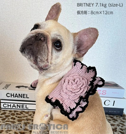 パリエロ PARIERO レクールニットリボン [オーダーメイド]【小型犬 犬用 クール セレブ】