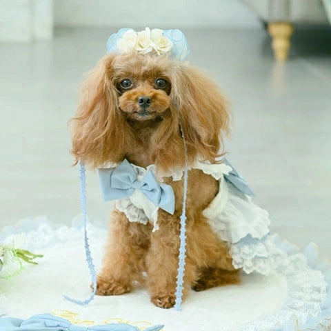 きゃんナナ CanNana アリスエプロンワンピース 1161【小型犬 犬服 きゃんナナ CanNana アリスエプロンワンピース 1161【小型犬 犬服