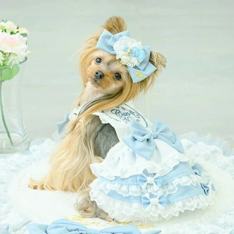 きゃんナナ CanNana アリスエプロンワンピース 1161【小型犬 犬服 きゃんナナ CanNana アリスエプロンワンピース 1161【小型犬 犬服