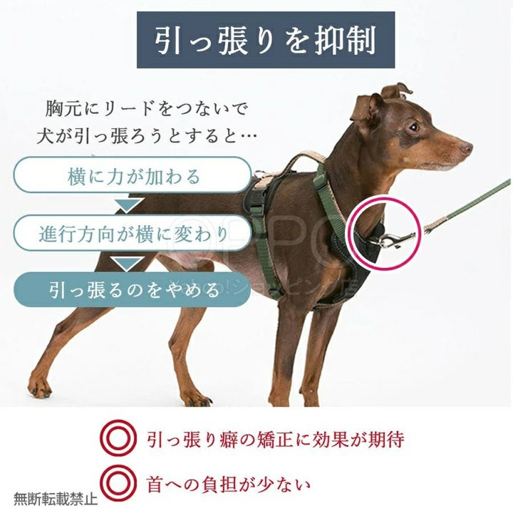 OPPO オッポ ダブルプレミアムハーネス S【犬用ハーネス 引っ張り防止 簡単装着 小型犬 中型犬 柴犬 おしゃれ 反射 S】