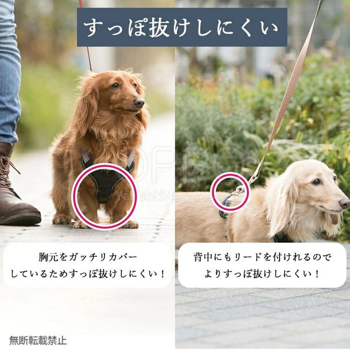 OPPO オッポ ダブルプレミアムハーネス XS【犬用ハーネス 引っ張り防止 簡単装着 小型犬 中型犬 柴犬 おしゃれ 反射 S】