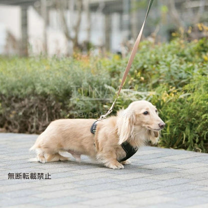 OPPO オッポ ダブルプレミアムリード M【犬 リード 引きひも 犬用ロープ 中型犬 大型犬 1.2m ペットリード 散歩 軽量 おしゃれ バイカラー ブランド ナスカン ハーネス M】
