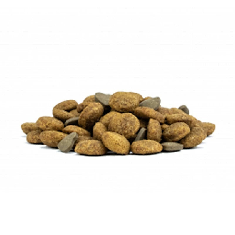 フォルツァディエチ FORZA10 Renal Active リナール アクティブ 小粒 250g/1.5kg【犬用 成犬 腎臓 健康維持 ドッグフード ドライフード 小粒 250g 1.5kg】