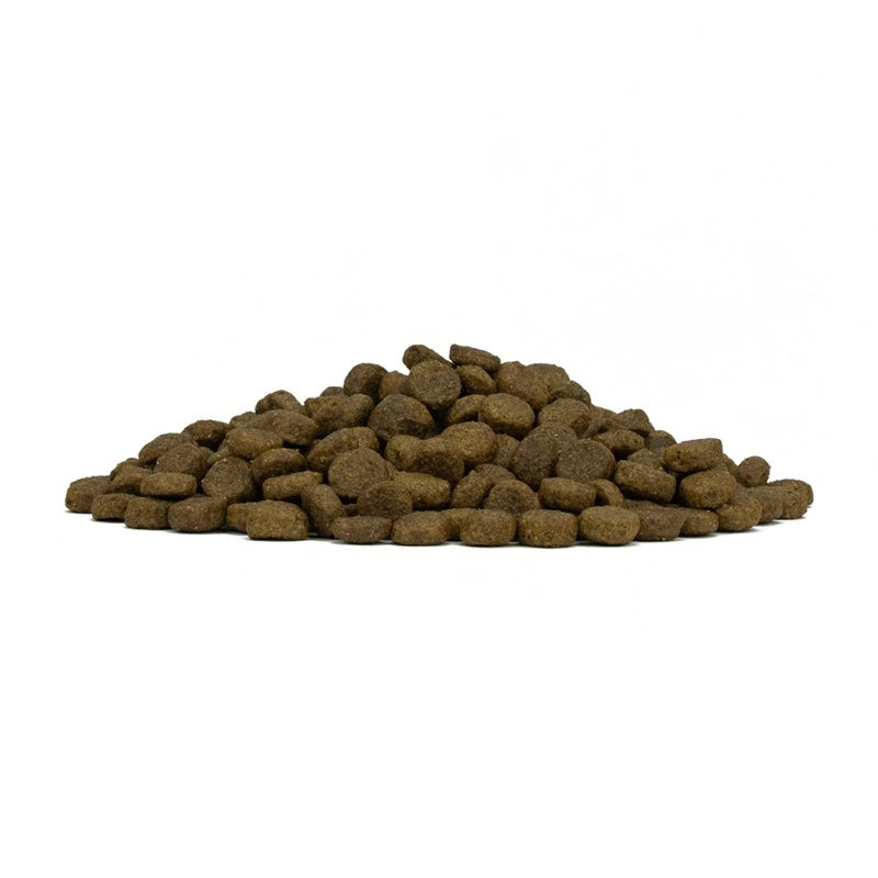 フォルツァディエチ FORZA10 Daily Pro アダルトミニ フィッシュ 小粒 600g/1.5kg/3.6kg【犬用 成犬 免疫 健康維持 スキン＆コート ドッグフード ドライフード 小粒 600g 1.5kg 3.6kg】
