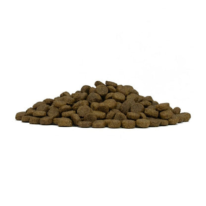 フォルツァディエチ FORZA10 Daily Pro アダルトミニ フィッシュ 小粒 600g/1.5kg/3.6kg【犬用 成犬 免疫 健康維持 スキン＆コート ドッグフード ドライフード 小粒 600g 1.5kg 3.6kg】