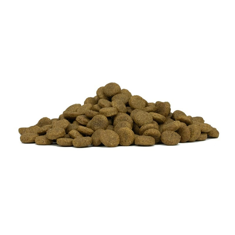 フォルツァディエチ FORZA10 Daily Pro アダルトミディアム フィッシュ 中粒 12kg【犬用 成犬 免疫 健康維持 スキン＆コート ドッグフード ドライフード 中粒 12kg】