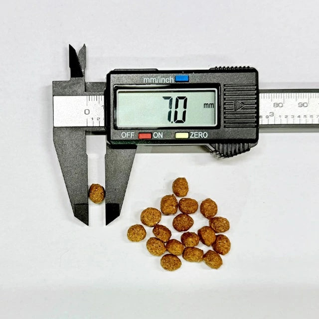 フォルツァディエチ FORZA10 Daily Pro アダルトミニ ホース 小粒 600g/1.5kg/3.6kg【犬用 成犬 免疫 健康維持 スキン＆コートケア ドッグフード ドライフード 小粒 600g 1.5kg 3.6kg】
