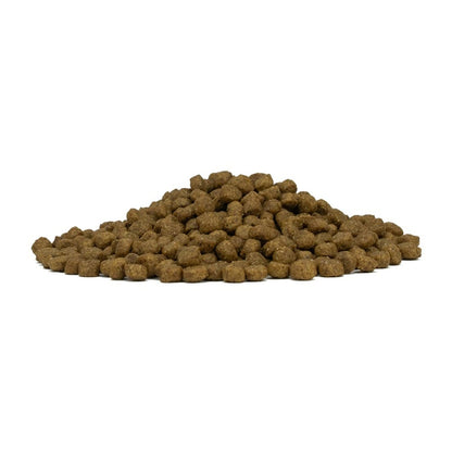 フォルツァディエチ FORZA10 Daily Pro アダルトミニ ホース 小粒 600g/1.5kg/3.6kg【犬用 成犬 免疫 健康維持 スキン＆コートケア ドッグフード ドライフード 小粒 600g 1.5kg 3.6kg】