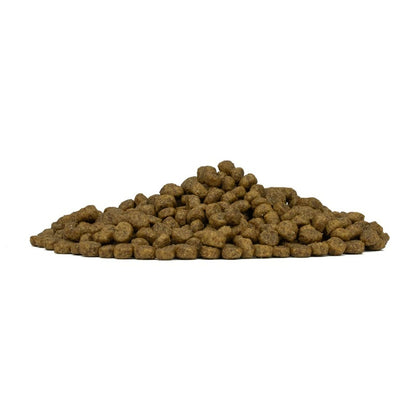 フォルツァディエチ FORZA10 Daily Pro アダルトミニ ラム 小粒 600g/1.5kg/3.6kg【犬用 成犬 免疫 健康維持 最適な消化 ドッグフード ドライフード 小粒 600g 1.5kg 3.6kg】