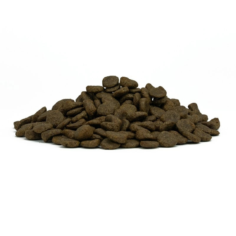 フォルツァディエチ FORZA10 Daily Pro ミニ アダルトヘルシーダイジェスチョン フィッシュ 小粒 600g/1.5kg/3.6kg【犬用 成犬 免疫 健康維持 腸内細菌叢の適正なバランス ドッグフード ドライフード 小粒 600g 1.5kg 3.6kg】