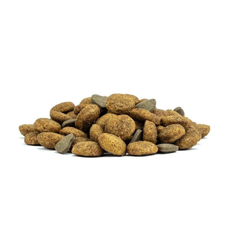 フォルツァディエチ FORZA10 リナール アクティブ キャット 小粒 400g/1.5kg【猫用 成猫 愛猫 腎臓 健康維持 キャットフード ドライフード 小粒 400g 1.5kg】