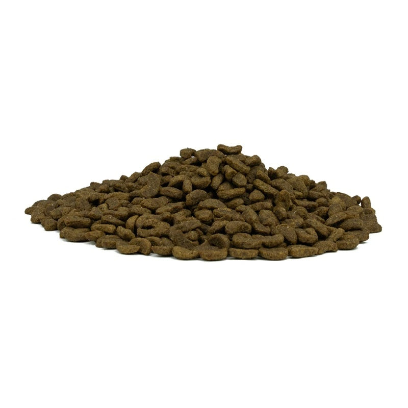 フォルツァディエチ FORZA10 Daily Pro アダルトフィッシュ キャット 小粒 400g/1.5kg【猫用 成猫 愛猫 免疫の健康維持・最適な消化 キャットフード ドライフード 小粒 400g 1.5kg】