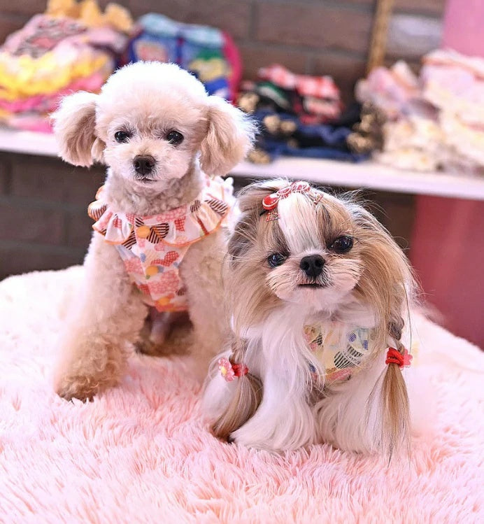 J&Kアニマルズ J&K animals☆予約受付中☆シュガーちゃん まるちゃん OP【小型犬 犬服 犬用 ワンピース ドレス スカート】