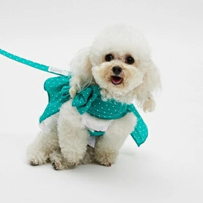 ルイスドッグ louisdog Walk With Me/Dots Garden【小型犬 犬用 ハーネス リード カラー セット セレブ】