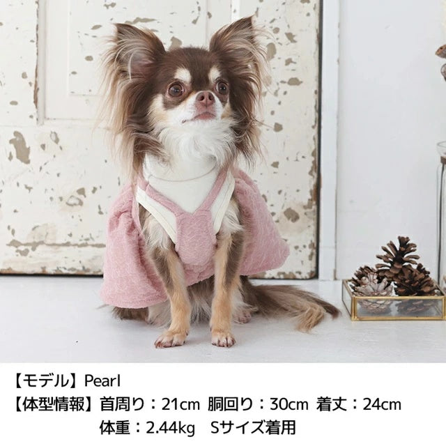ティノティート TINOTITO アンサンブルニットワンピ【小型犬 犬服 ワンピース ニット スカート カジュアル】
