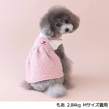 ティノティート TINOTITO アンサンブルニットワンピ【小型犬 犬服 ワンピース ニット スカート カジュアル】