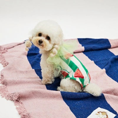 ルイスドッグ louisdog Pool Club/Watermelon Bodysuit【小型犬 犬用 犬服 ボディスーツ 水着 セットアップ セレブ】