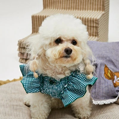 ルイスドッグ louisdog Pool Clube/Popsicle Bodysuit【小型犬 犬服 ボディスーツ セレブ】