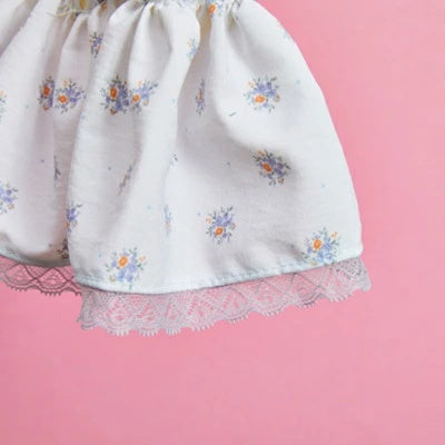 ルイスドッグ louisdog Pool Club/Popsicle Monokini【小型犬 犬服 ワンピース モノキニ ボディスーツ セレブ】