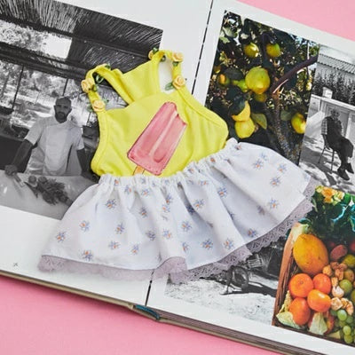 ルイスドッグ louisdog Pool Club/Popsicle Monokini【小型犬 犬服 ワンピース モノキニ ボディスーツ セレブ】