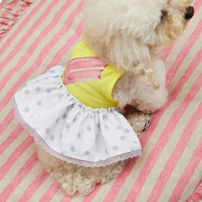 ルイスドッグ louisdog Pool Club/Popsicle Monokini【小型犬 犬服 ワンピース モノキニ ボディスーツ セレブ】