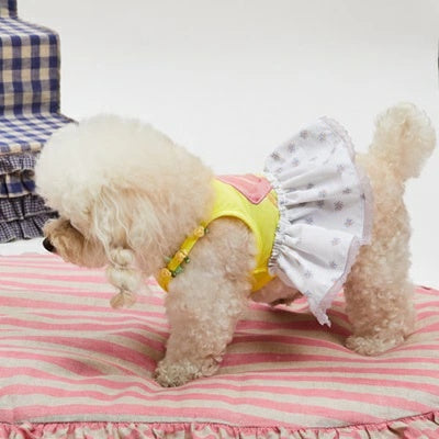 ルイスドッグ louisdog Pool Club/Popsicle Monokini【小型犬 犬服 ワンピース モノキニ ボディスーツ セレブ】