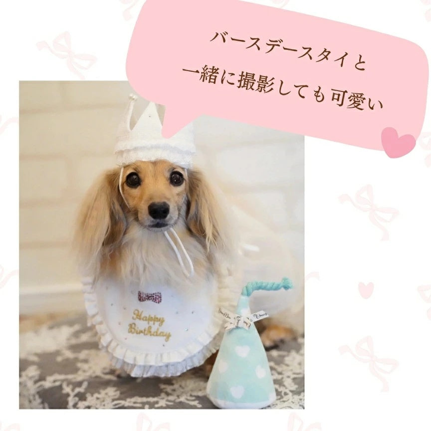 クレイジーブー CRAZYBOO クラッカーおもちゃ【犬用 小型犬 おもちゃ 誕生日 パーティー セレブ】