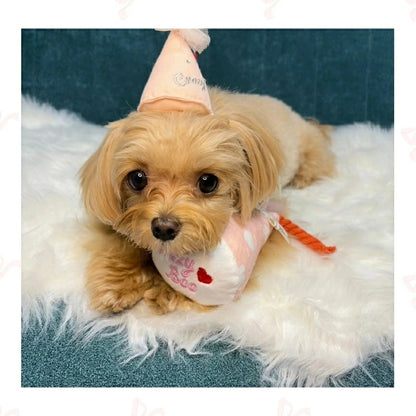 クレイジーブー CRAZYBOO クラッカーおもちゃ【犬用 小型犬 おもちゃ 誕生日 パーティー セレブ】