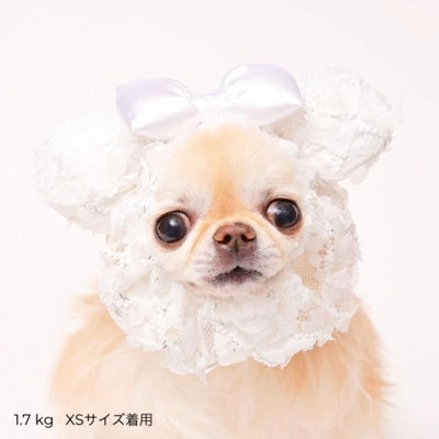 ゴッドピヴァ GODPIVA レースアニマルスヌード【小型犬 犬用 スヌード セレブ】