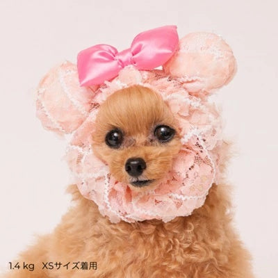 ゴッドピヴァ GODPIVA レースアニマルスヌード【小型犬 犬用 スヌード セレブ】
