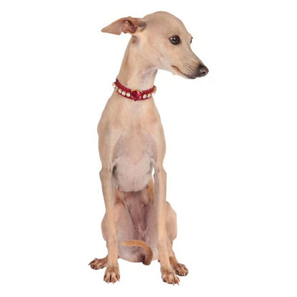 シャーロットドレス Charlotte's Dress Art. f1641N collar Fabulous Bordeaux【犬用 カラー ハーネス リード セレブ】