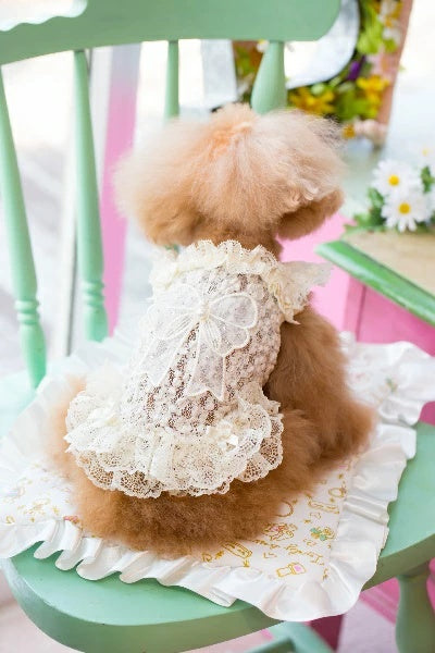ブルブブ BUL BU-BU キラキラリボンキャミ【小型犬 犬服 トップス キャミソール タンクトップ セレブ】