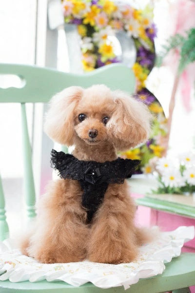 ブルブブ BUL BU-BU キラキラリボンキャミ【小型犬 犬服 トップス キャミソール タンクトップ セレブ】