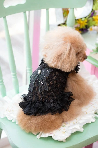 ブルブブ BUL BU-BU キラキラリボンキャミ【小型犬 犬服 トップス キャミソール タンクトップ セレブ】