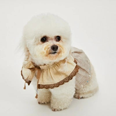 ルイスドッグ louisdog Butter Frill Collar【小型犬 犬用 アクセサリー 付け襟 セレブ】