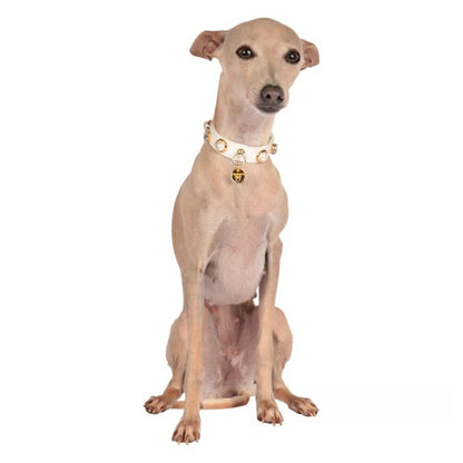 シャーロットドレス Charlotte's Dress Art. f1630N collar Clair【犬用 カラー ハーネス リード セレブ】