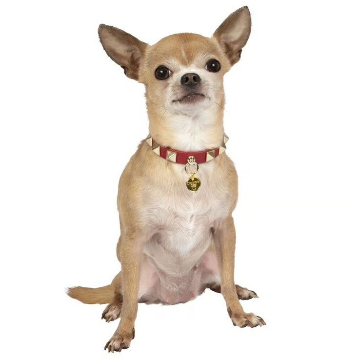 シャーロットドレス Charlotte's Dress Art. f1519N collar Square rivet【犬用 カラー ハーネス リード セレブ】