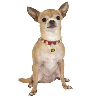 シャーロットドレス Charlotte's Dress Art. f1519N collar Square rivet【犬用 カラー ハーネス リード セレブ】