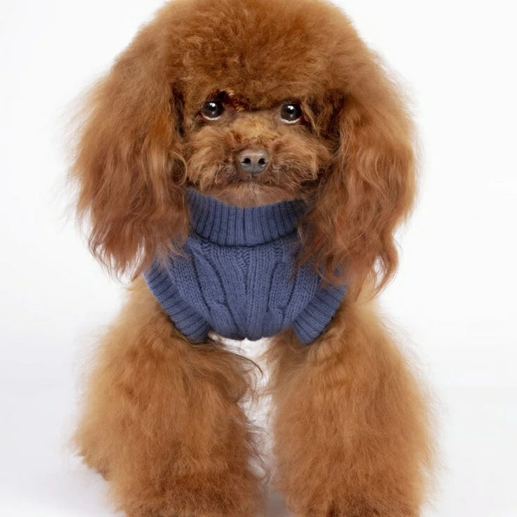 シャーロットドレス Charlotte's Dress Art. 3166 sweater Noah【犬服 トップス セーター ニット セレブ】