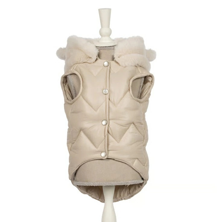 シャーロットドレス Charlotte's Dress Art.1095 jacket Candore【犬服 アウター ジャケット セレブ】