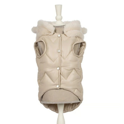 シャーロットドレス Charlotte's Dress Art.1095 jacket Candore【犬服 アウター ジャケット セレブ】