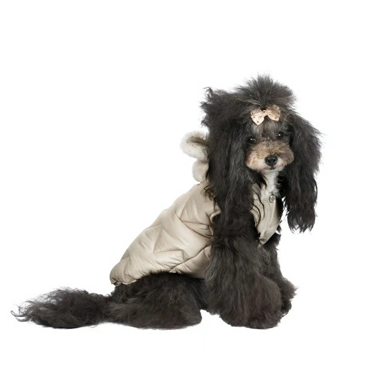 シャーロットドレス Charlotte's Dress Art.1095 jacket Candore【犬服 アウター ジャケット セレブ】